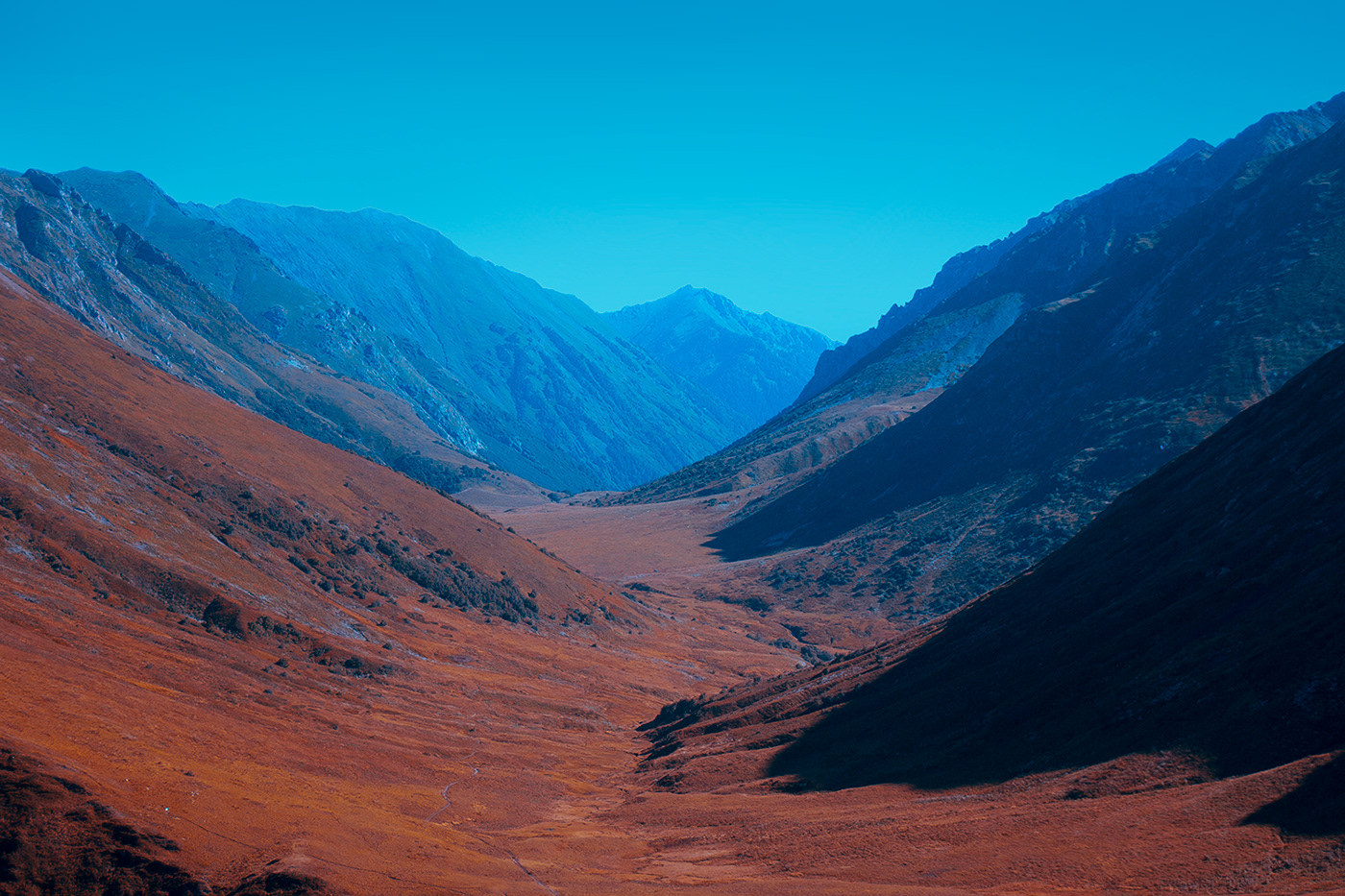 高加索自然保护区位于俄罗斯的高加索山脉
