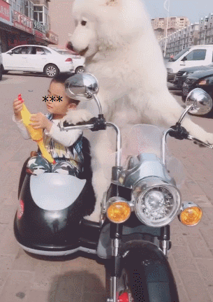 305_432竖版 竖屏gif 动态图 动图