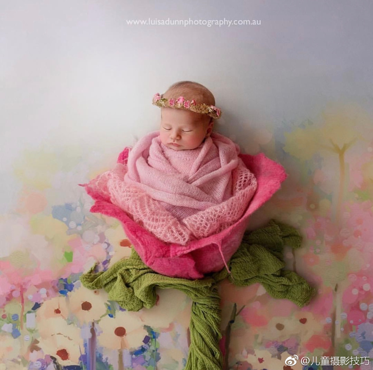 一组luisa dunn的新生儿作品,他称新生儿摄影是一门艺术