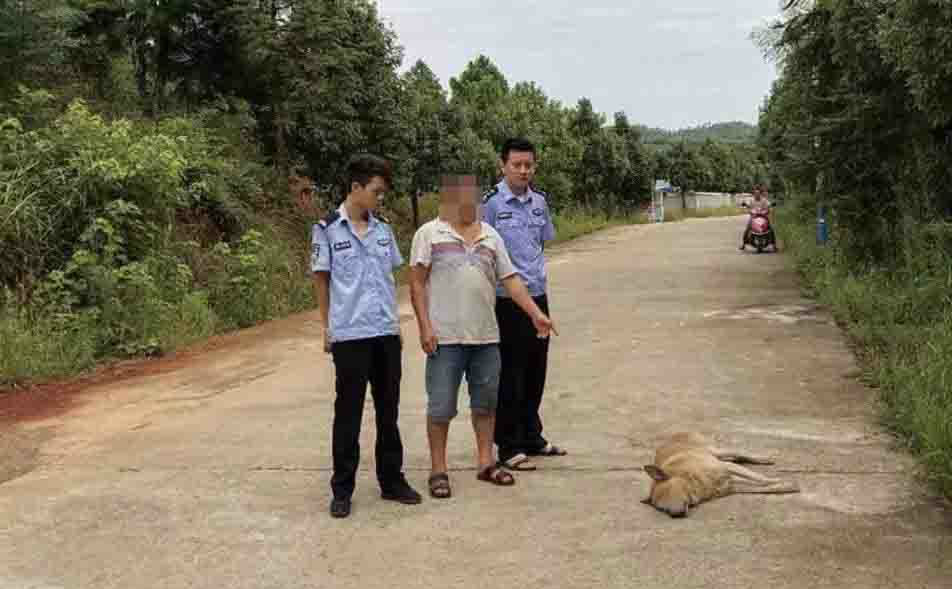 男子偷狗上瘾3次被抓因非法使用弩枪再次被送进监狱