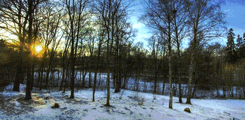 499_245gif 动态图 动图