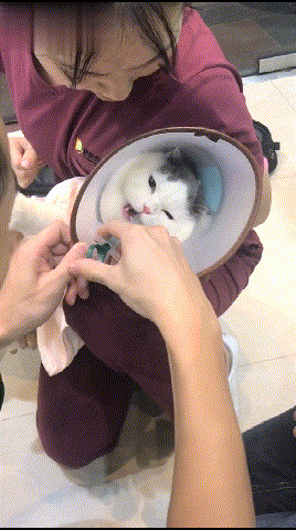 268_480竖版 竖屏gif 动态图 动图