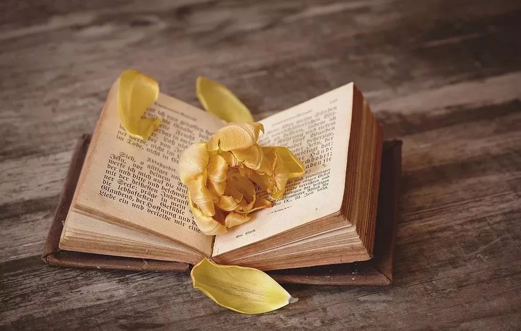 徐清松||关于小说的异质性,指涉性与张力之浅见