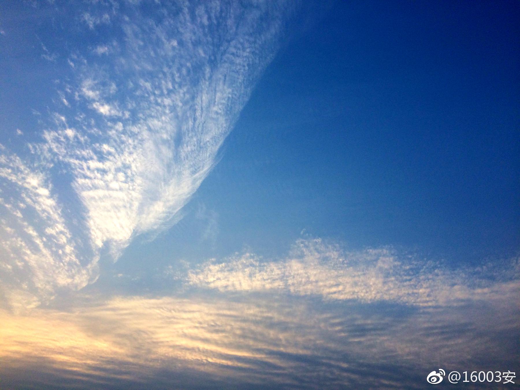 晚云舒羽花侵陌