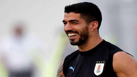 不是所有手球都叫苏亚雷斯,2010年南非世界杯