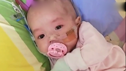 好可怜的娃儿, 这表情也没谁了