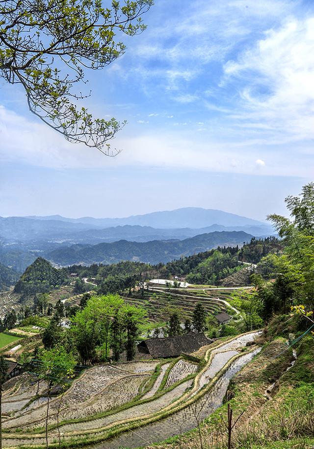 紫鹊界:湖南魅力迷人的梯田王国