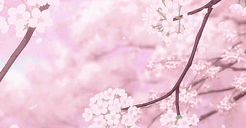 500_260gif 动态图 动图