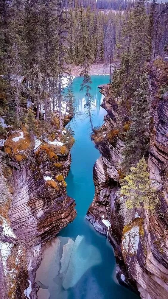 74张顶级照片|冰川|奇美|科幻世界_新浪新闻