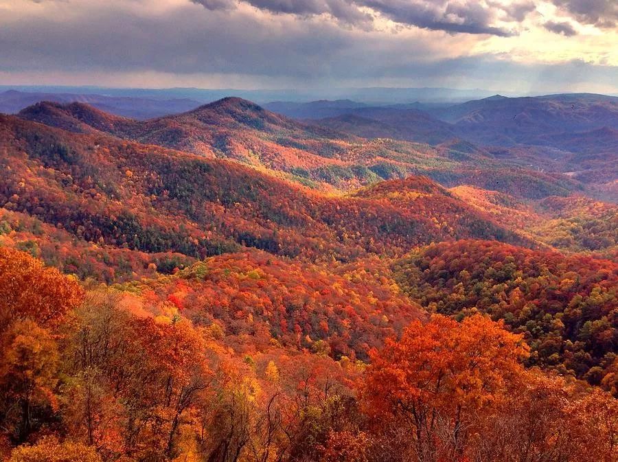 看,万山红遍,美极了!