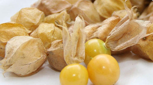 这果子50元一公斤,认识的人非常少,吃过的也少|果实|黄色|一公斤_新浪