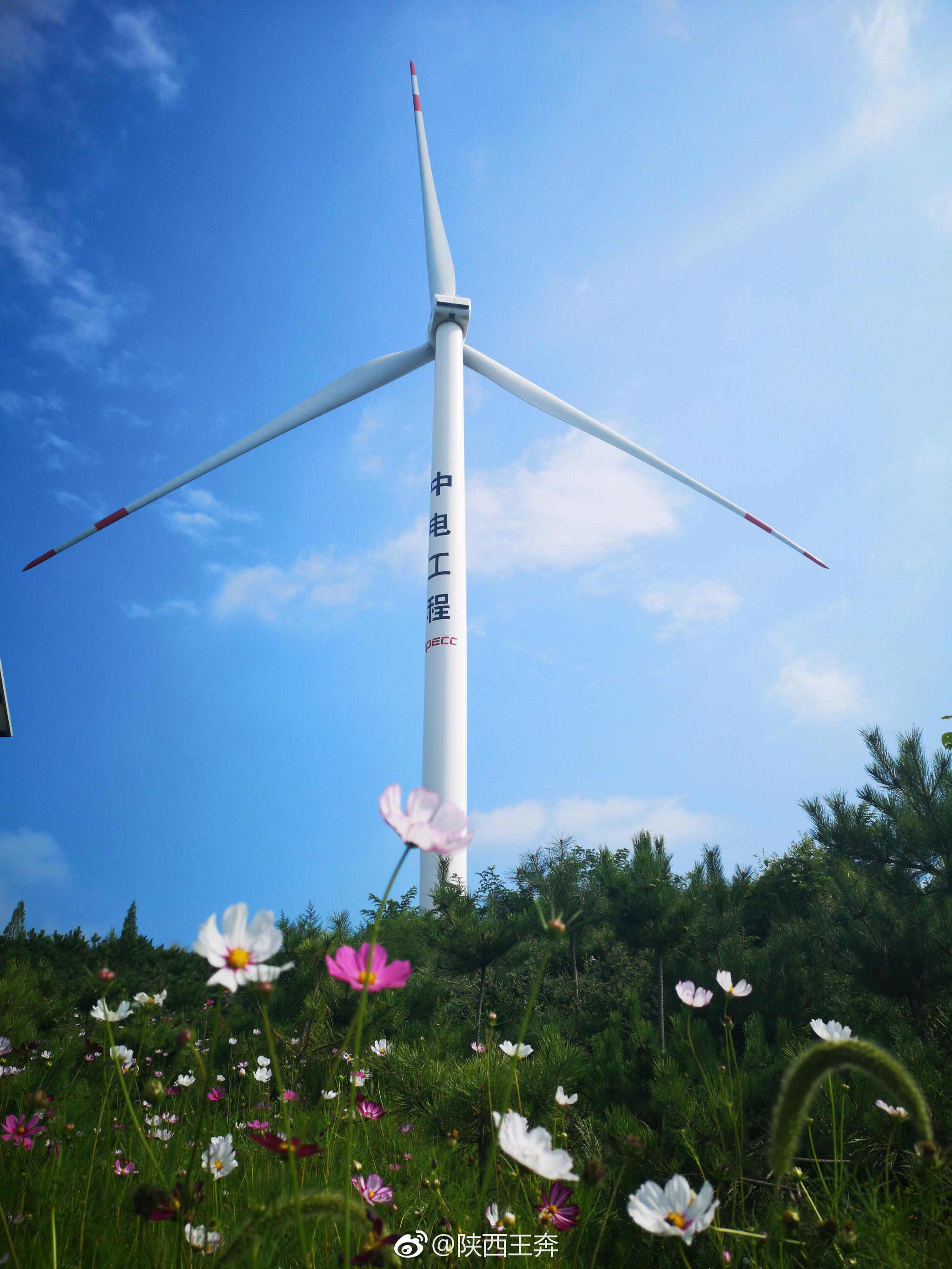 去延安黄龙的路上,遇到大风车和格桑花,被这美景迷倒