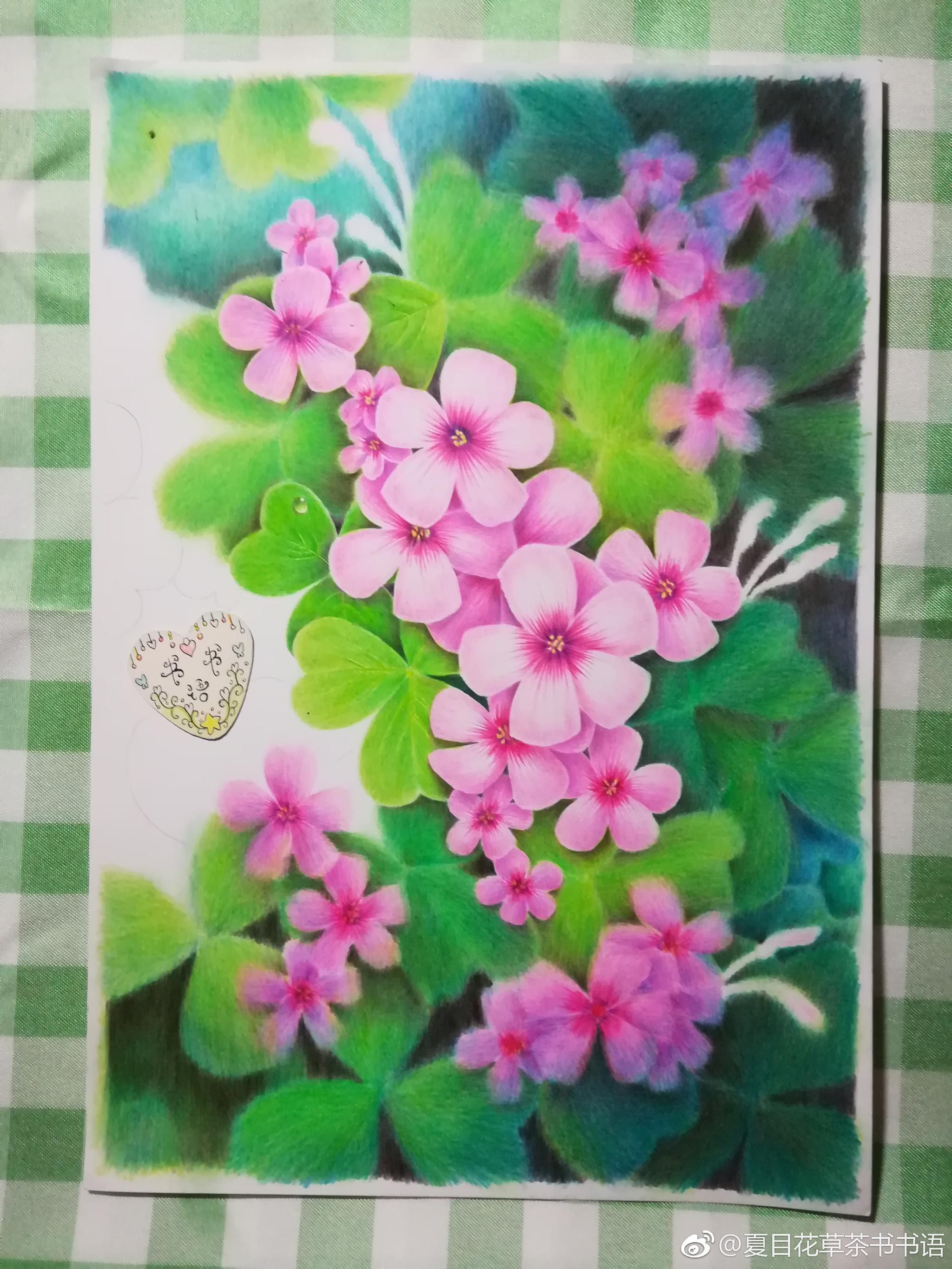 《酢浆草的夏天》投稿