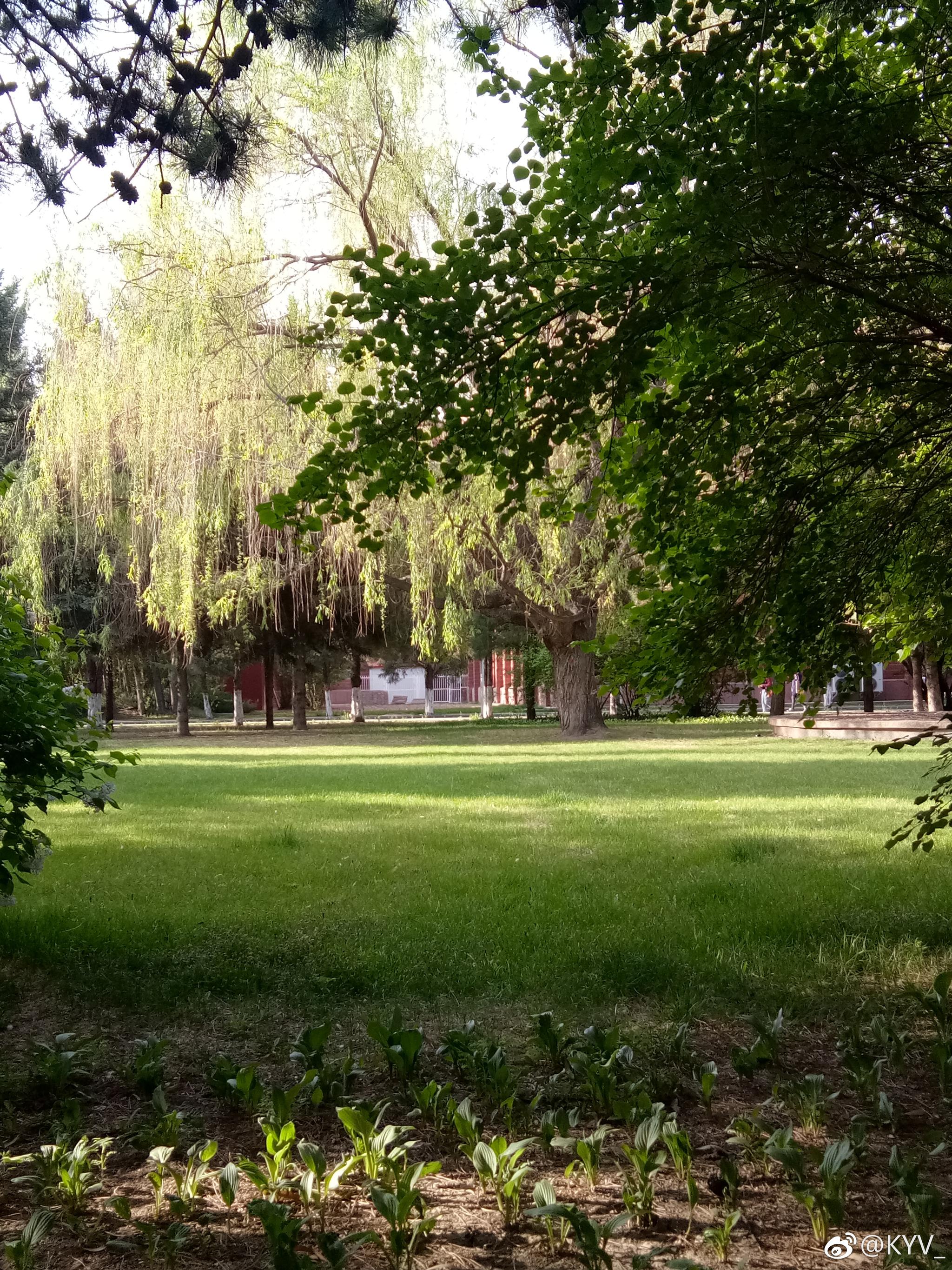 内蒙古大学的校园静景无论哪个季节总能发现最好的风景