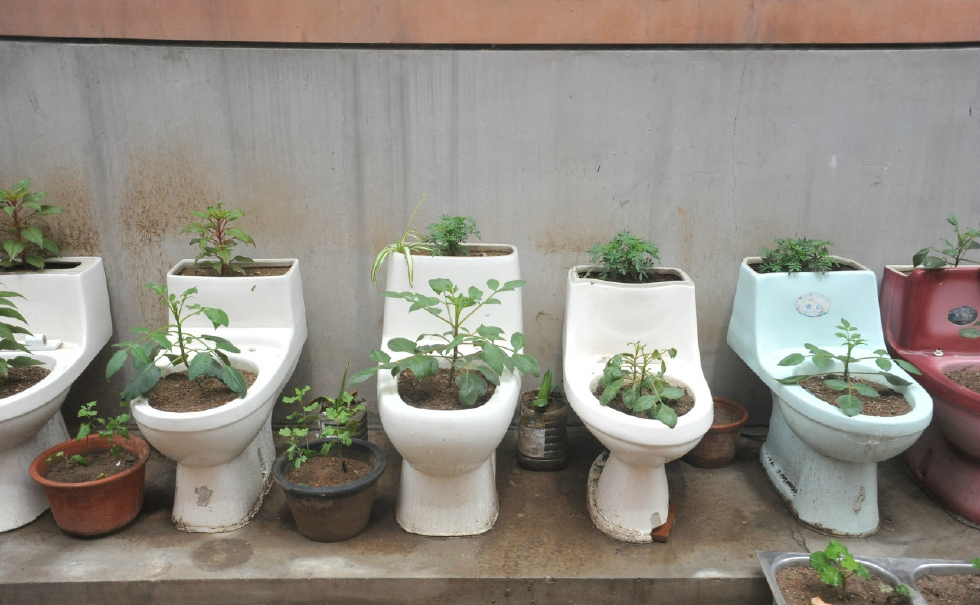 清爽春季又可以种花种草,但是这么奇葩的花盆,你见过吗