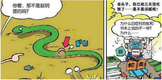 爆笑校园漫画:白吃村的蛇和书本上说的不一样,这个地方太奇葩了