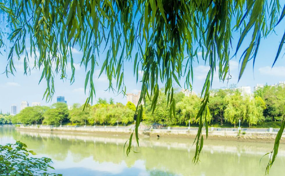 杨柳几点到湖南