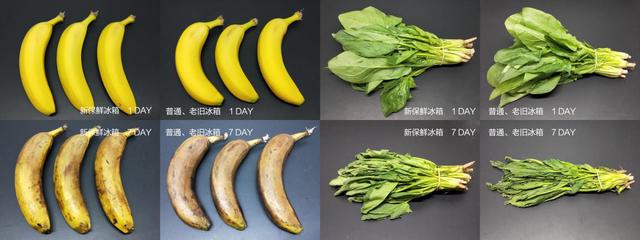 15天新老冰箱对比评测告诉你冰箱保鲜不止是靠低温就行