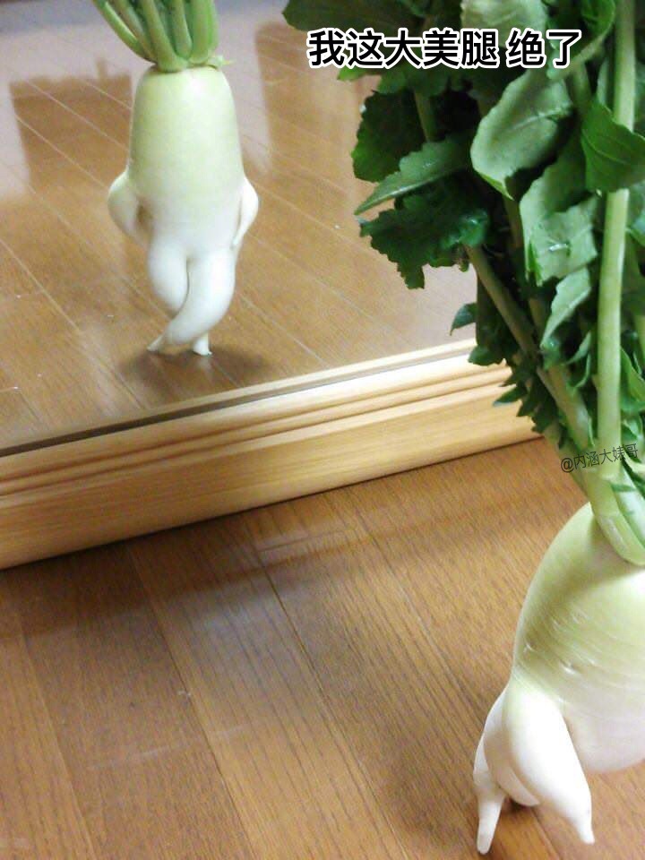 气的戏精 67岛国一个农园在推上po出了自家那些成了精的大白萝卜们!