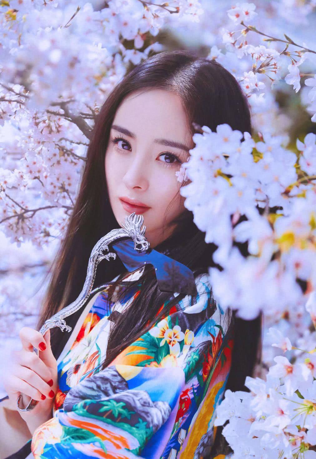 杨幂日本写真终于出炉和服樱花美成妖精