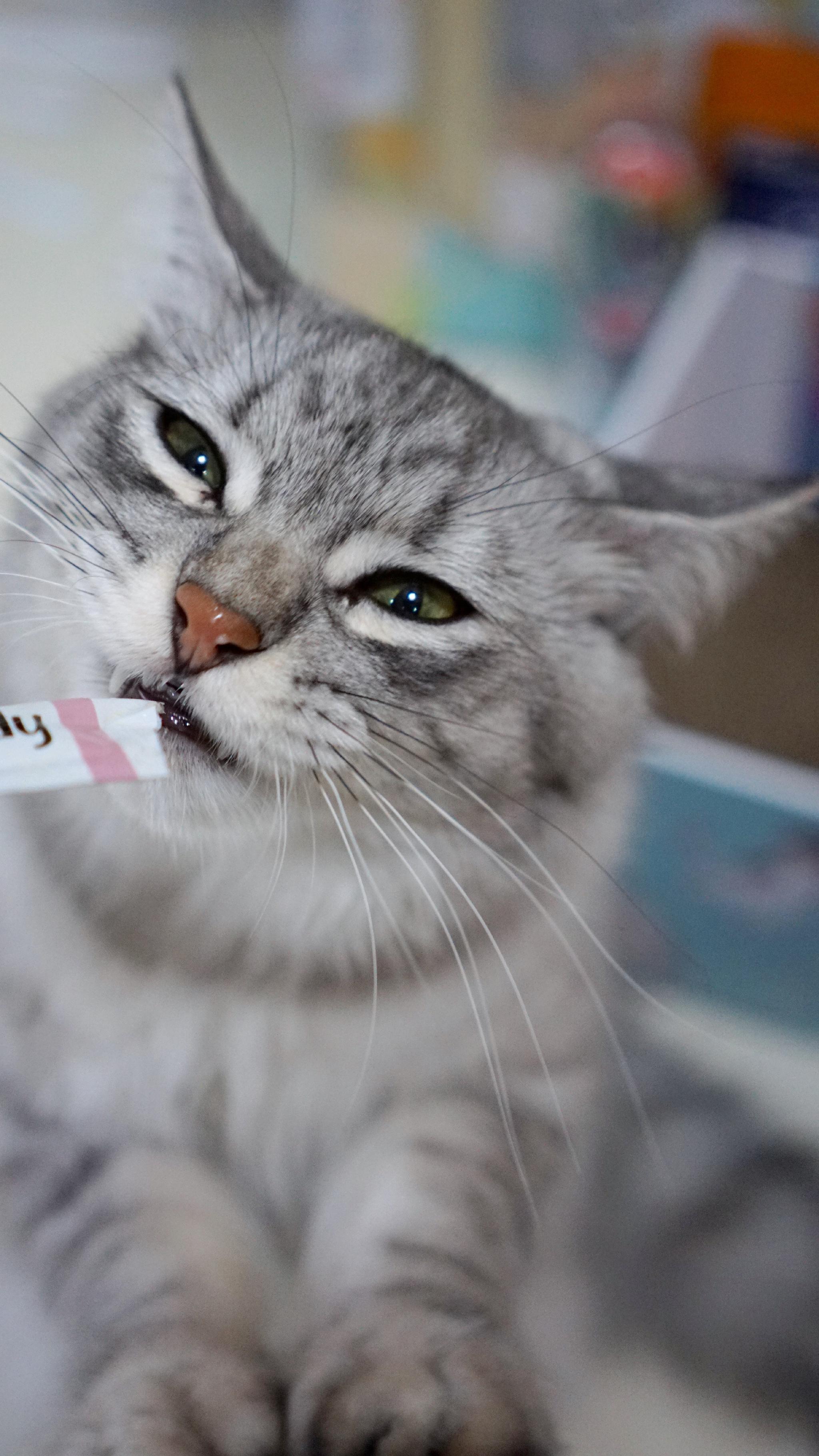 天哪终于有这个"娇气鬼"看得上的零食了