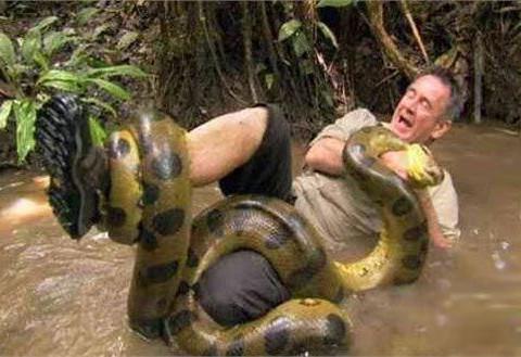 男子被蟒蛇死死缠住,危急时刻,他的这个动作救了自己性命