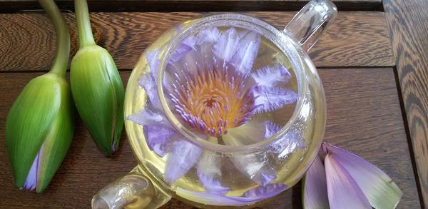 广东观音山洒在珠三角万山丛中的一瓣心香