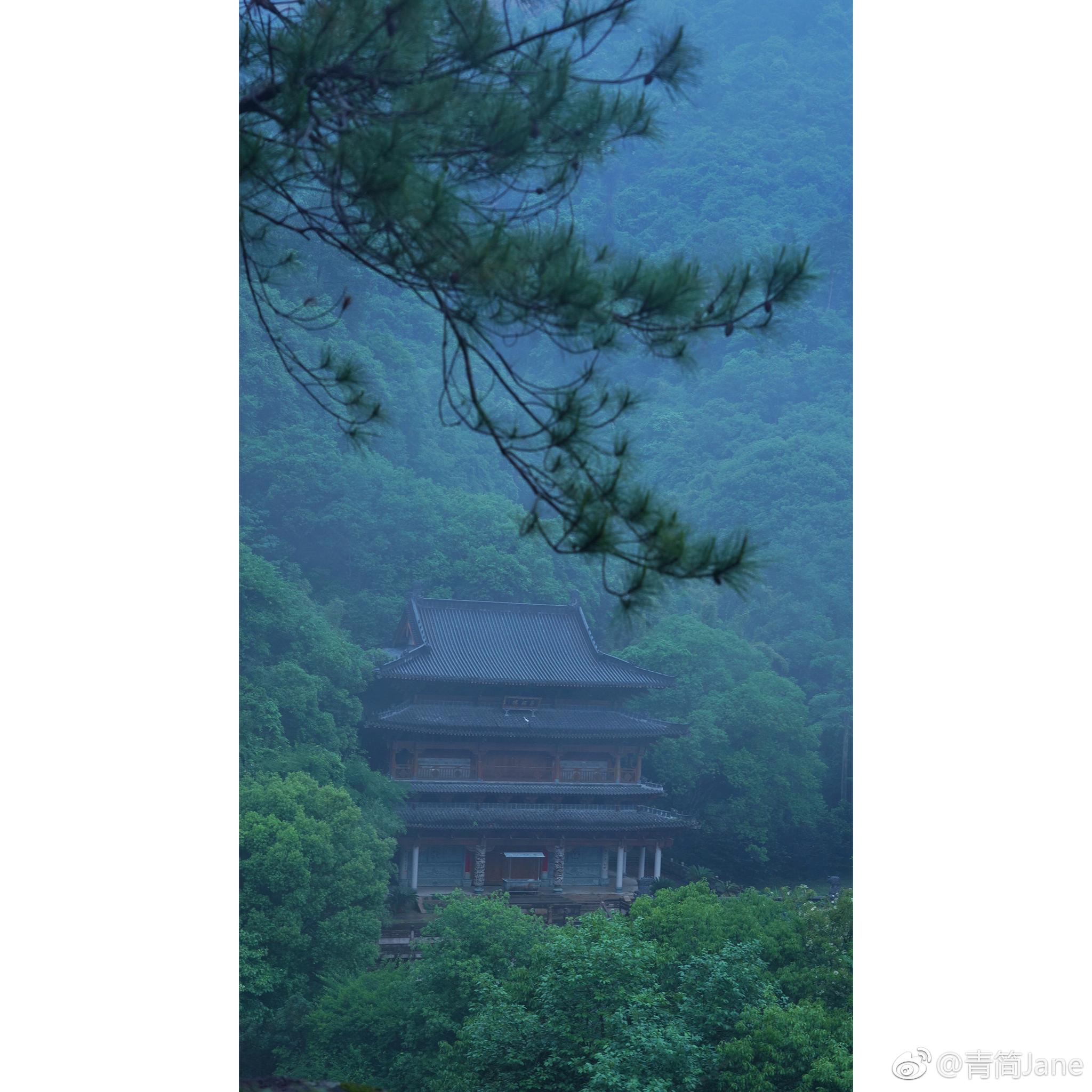 犹记前年去止止庵,繁花似雪,落英缤纷。如今再访,已是青梅如豆|青梅|繁花|烟雨|摄影|止止庵_新浪新闻