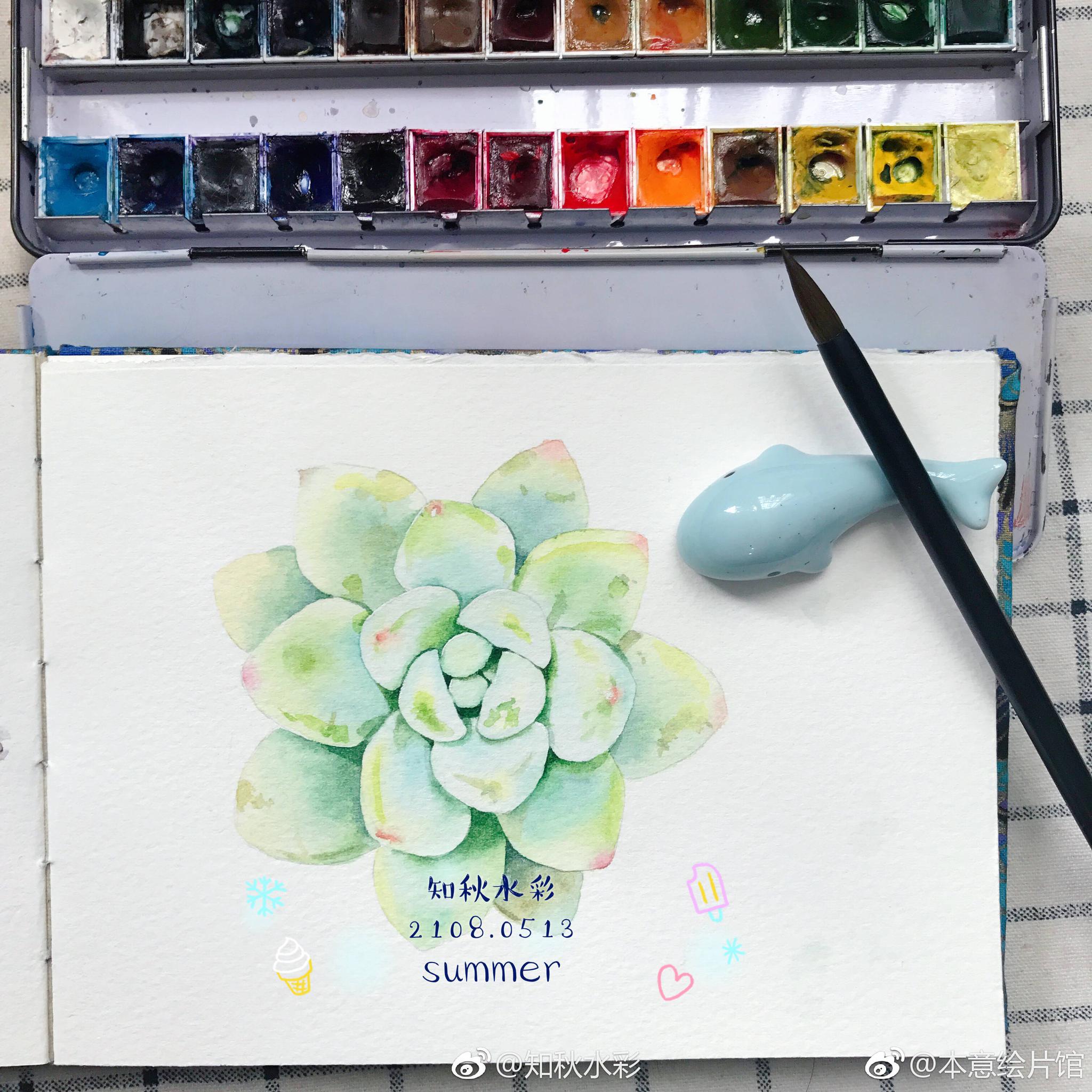 夏日清凉色系水彩多肉过程学习起来绘画
