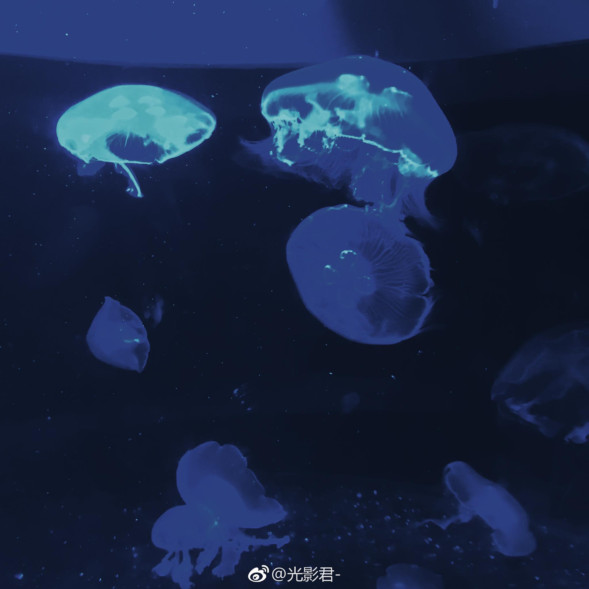 水星记