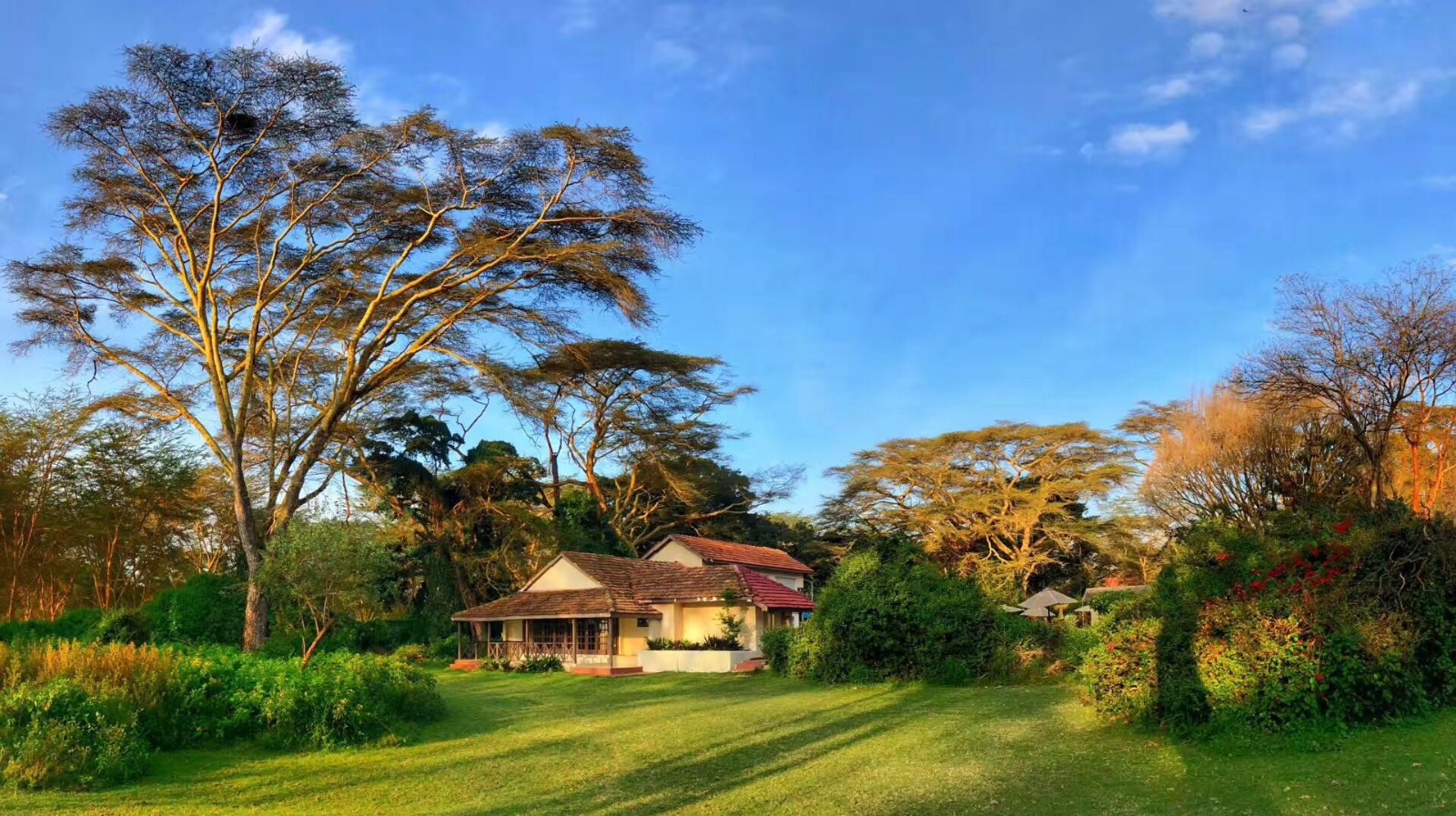 足不出户游非洲!与你分享东非最美湖泊-纳瓦沙湖!