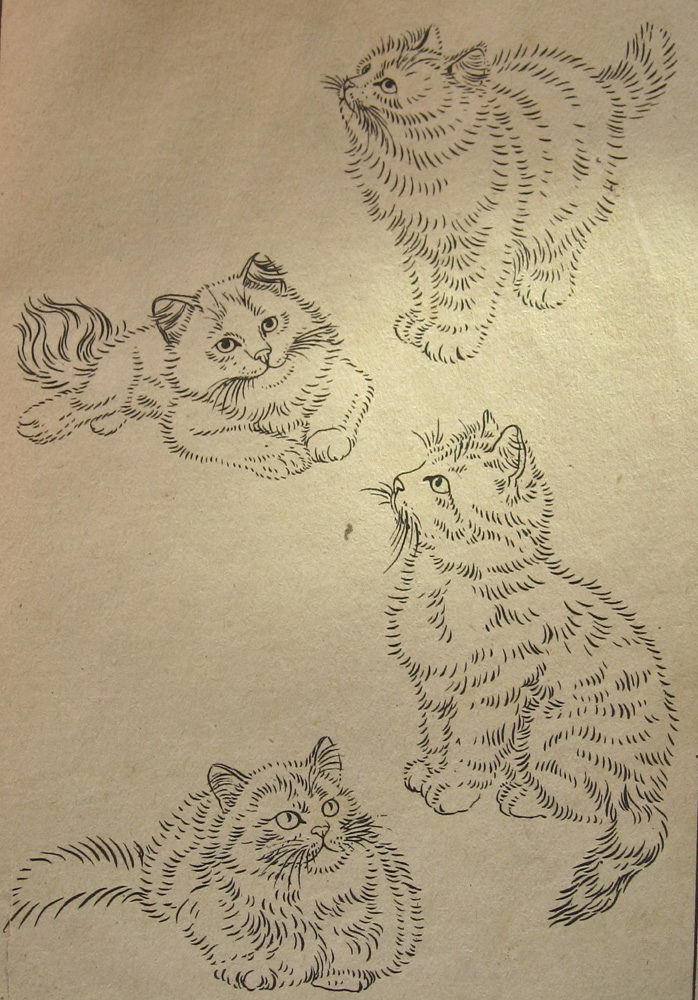 曹克家老先生白描画猫粉稿