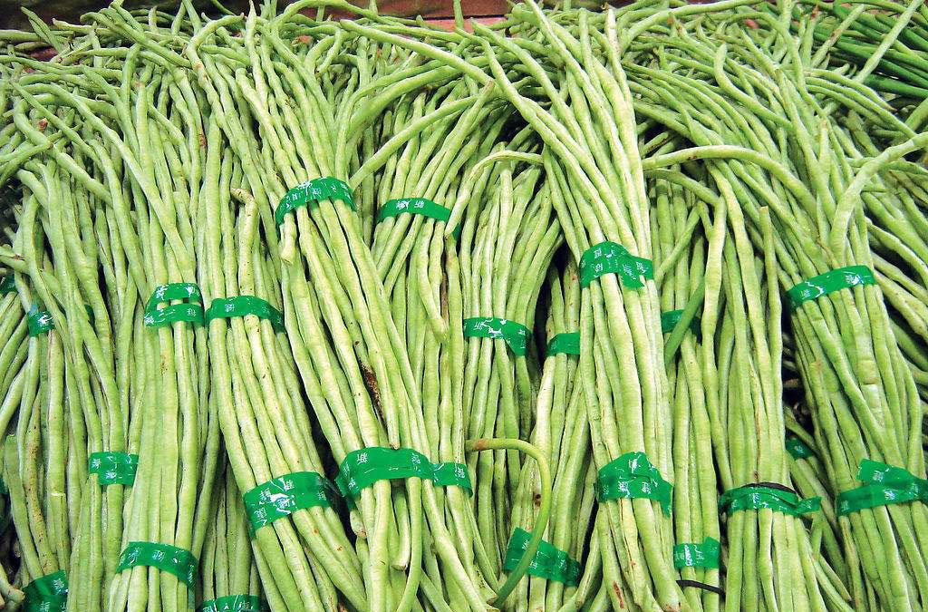 就想着孩子也爱吃,就买了点老豆角和红萝卜一块虎丘蒸,正好我自己都连