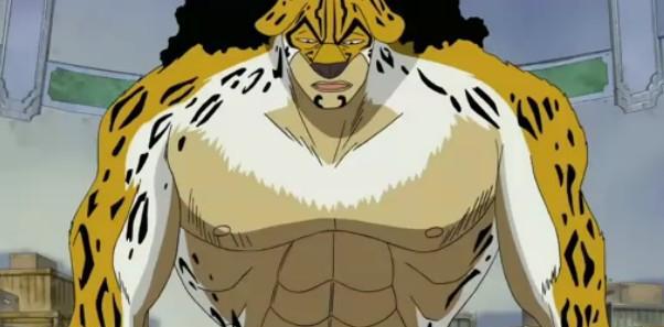 top6 猫猫果实,豹形态——路奇目前来说,这个小色鬼桃之助只是展现了