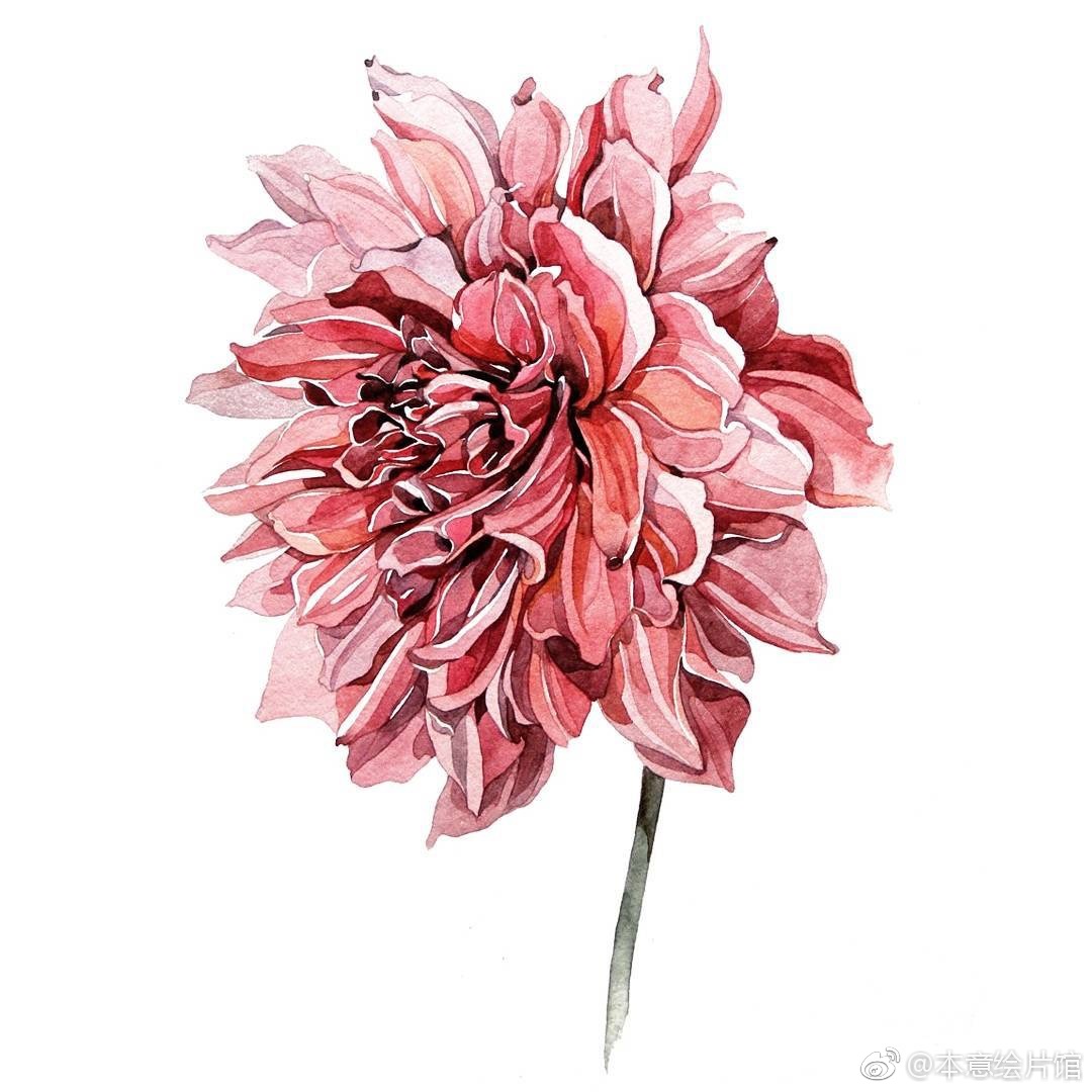 复古风水彩花卉欣赏.| ins:zz_green_mirror