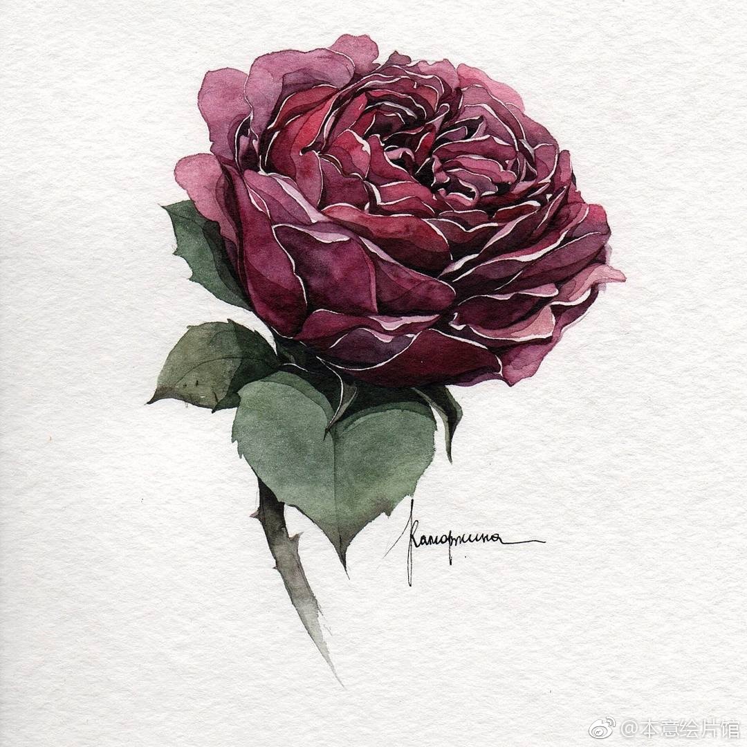 复古风水彩花卉欣赏.| ins:zz_green_mirror