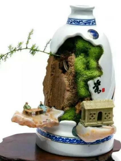 老妈用酒瓶当花盆比买的装饰品还好看邻居看见都疯抢