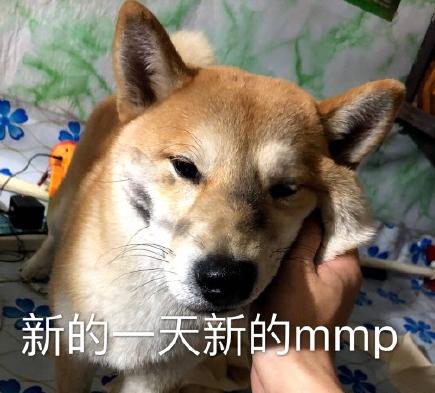 狗子的正确用法表情包 狗子的正确用法是什么很搞笑