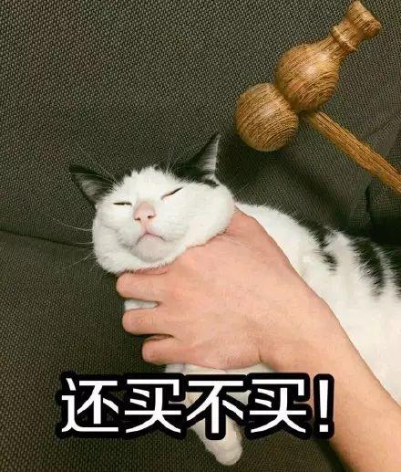 猫咪想要买东西, 主人不让, 结果