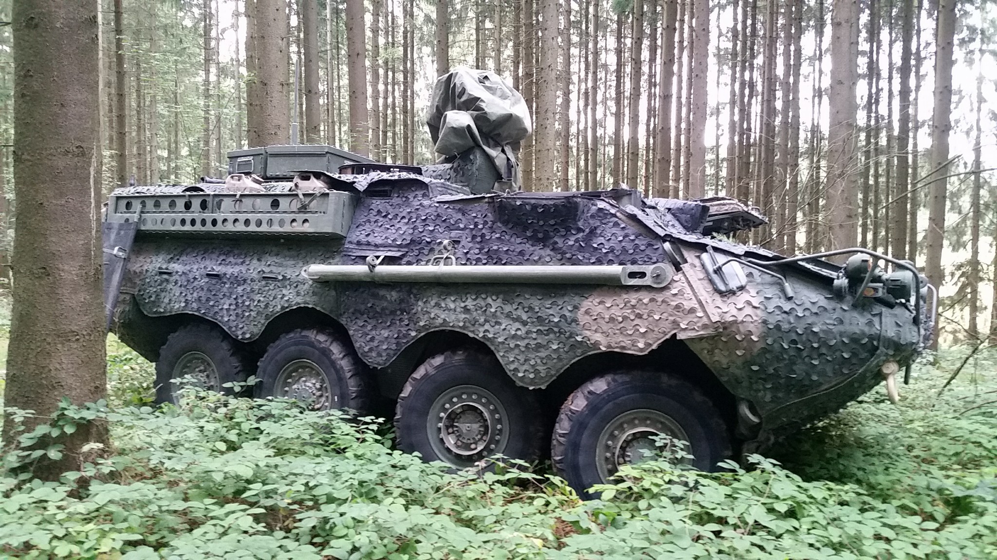 美军测试瑞典伪装系统|红外线|斯崔克|美国陆军|美军|萨博_新浪新闻