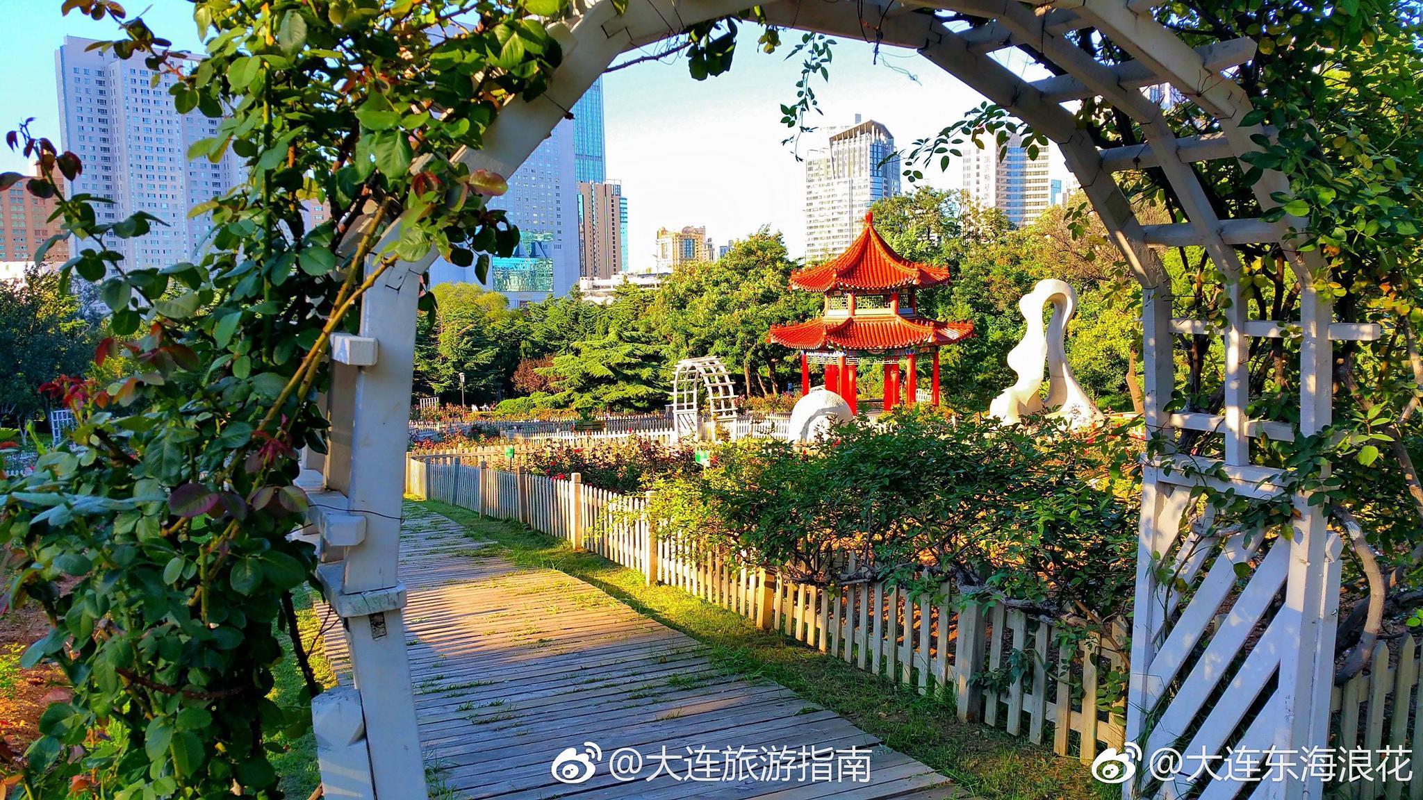 大连劳动公园