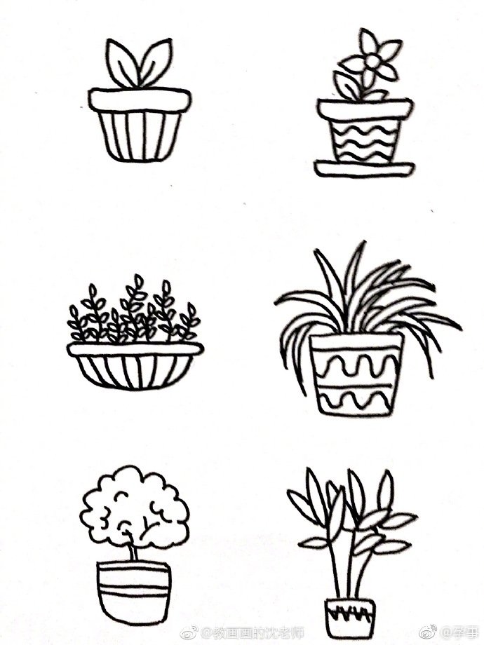 盆栽植物花盆简笔画原创手绘手账素材(:教画画的沈老师)