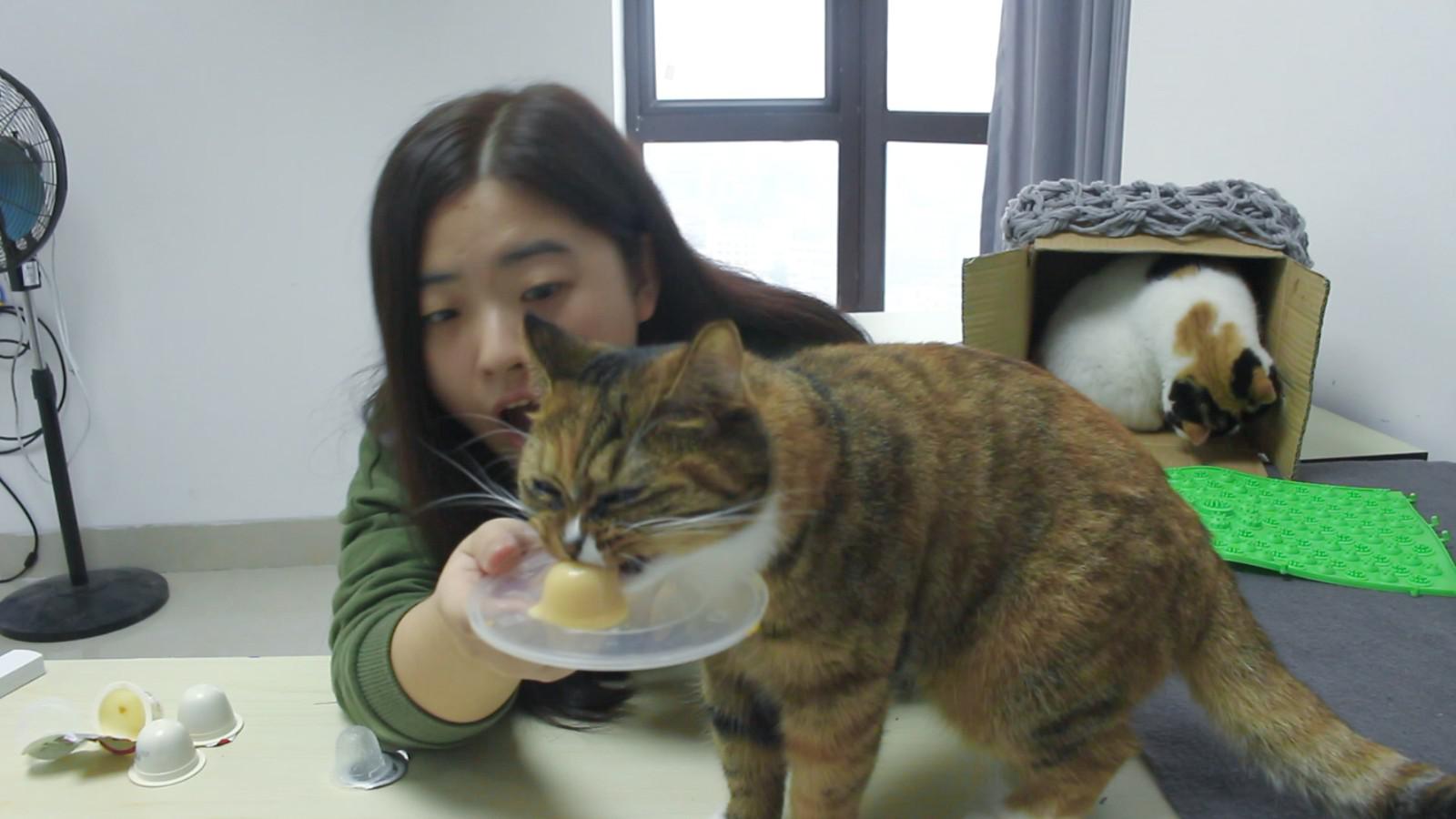 这狂吃零食的模样太搞笑了