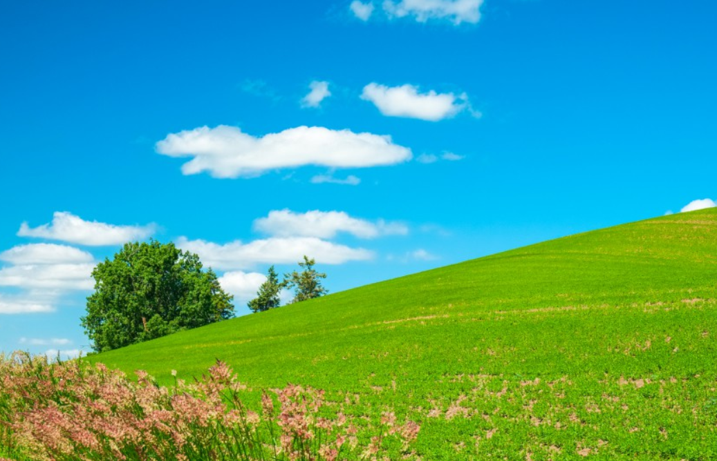 草原绿色风景图片清新怡人