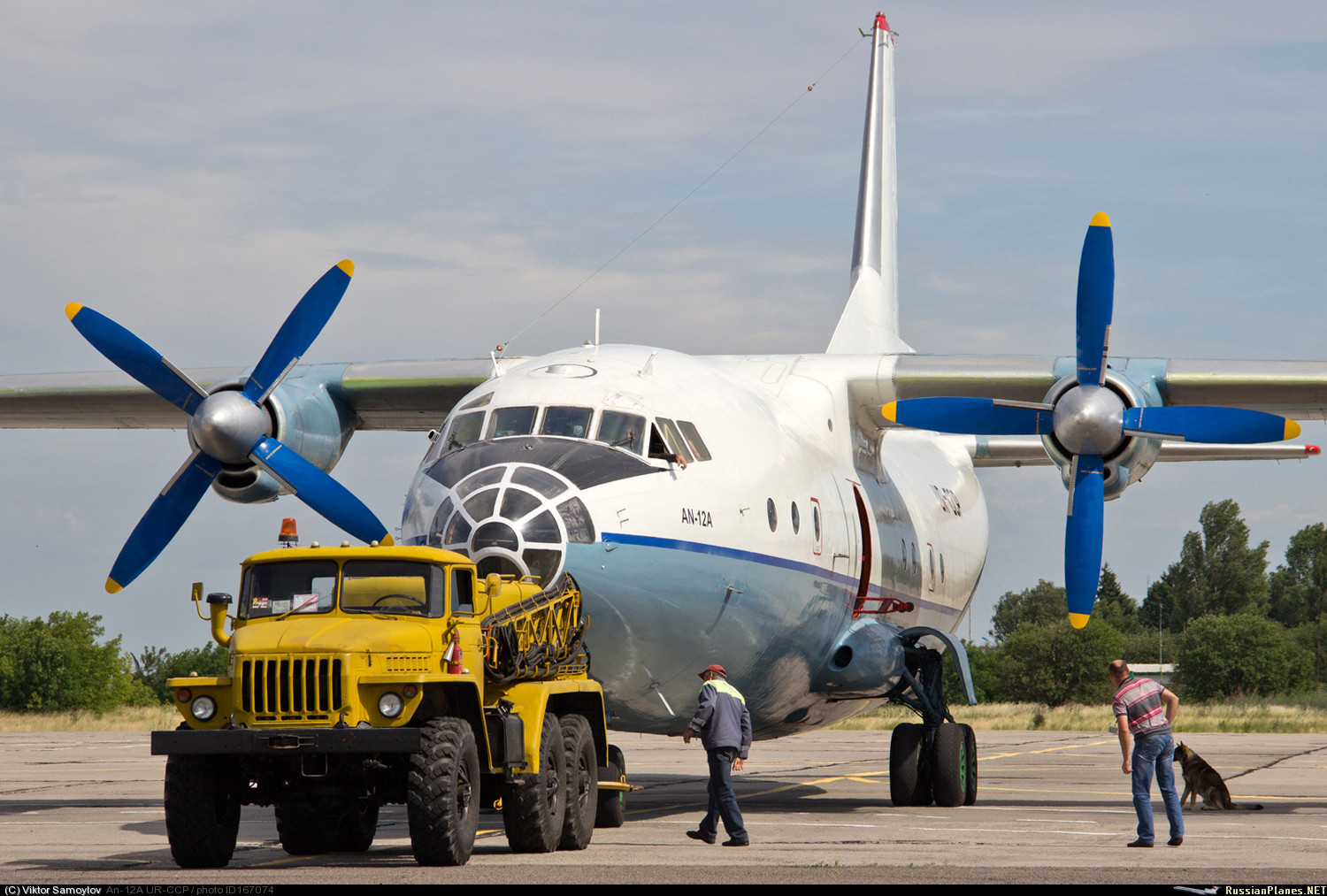 我国运-8飞机的原型是苏联安-12涡桨式中型运输机,可惜已停产了|运输