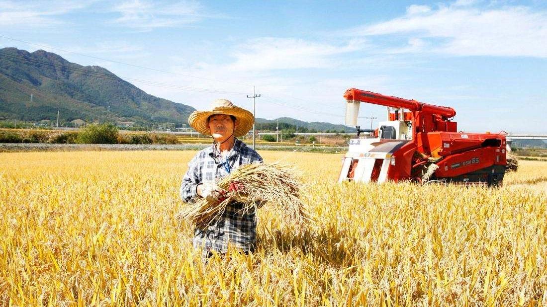 为什么我们国家农民种的粮食都卖不出去,还要进口外国的粮食?
