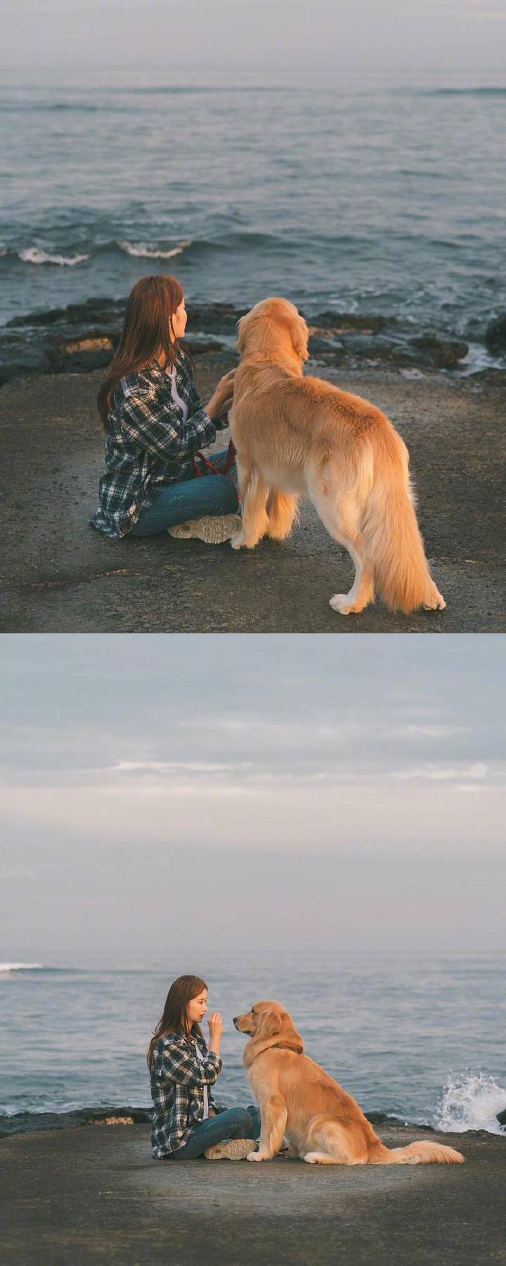 两人一狗一世界