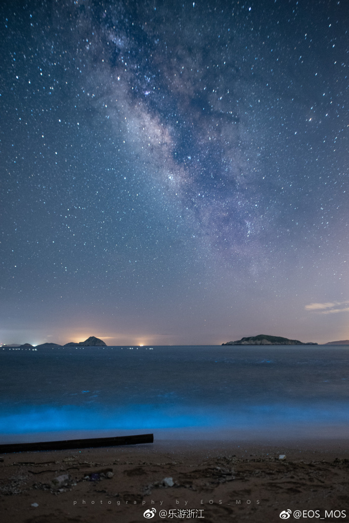 最近在舟山花鸟岛的晚上总会看到大海里泛着蓝光