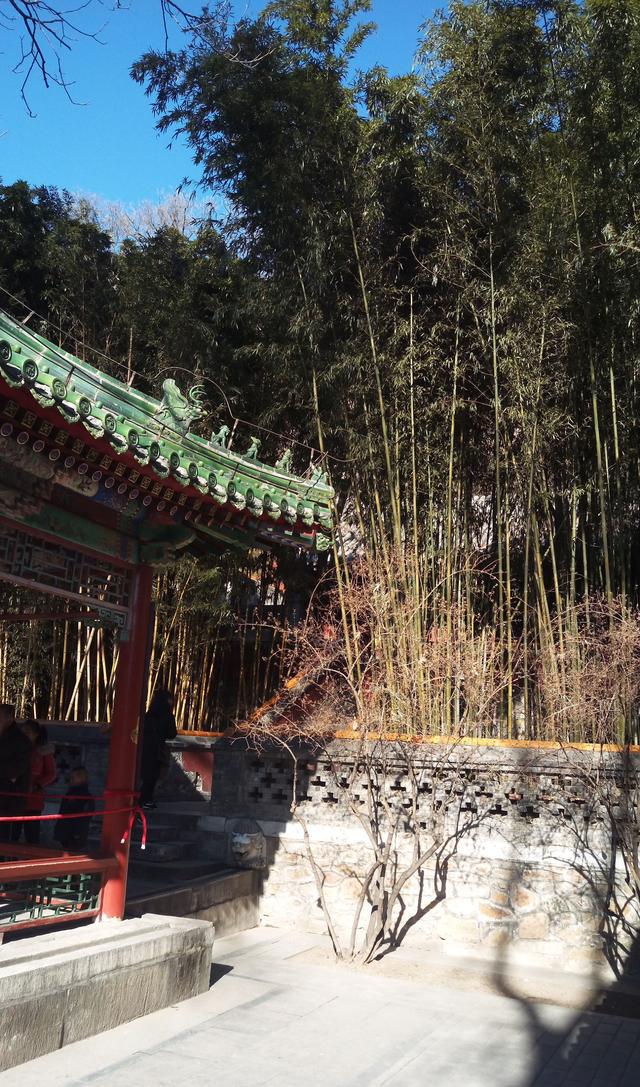 徒步拉萨第三天,潭柘寺|卧佛寺|潭柘寺|国明_新浪新闻