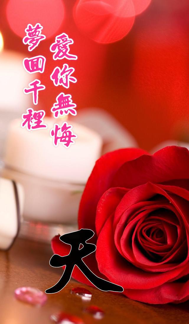 手机名字壁纸给我你的幸福